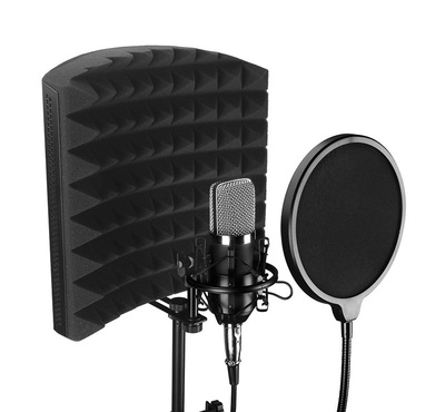 Microphone reflexion filter