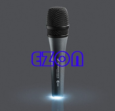Performance Dynamic Wired Karaoke Microphone E845S